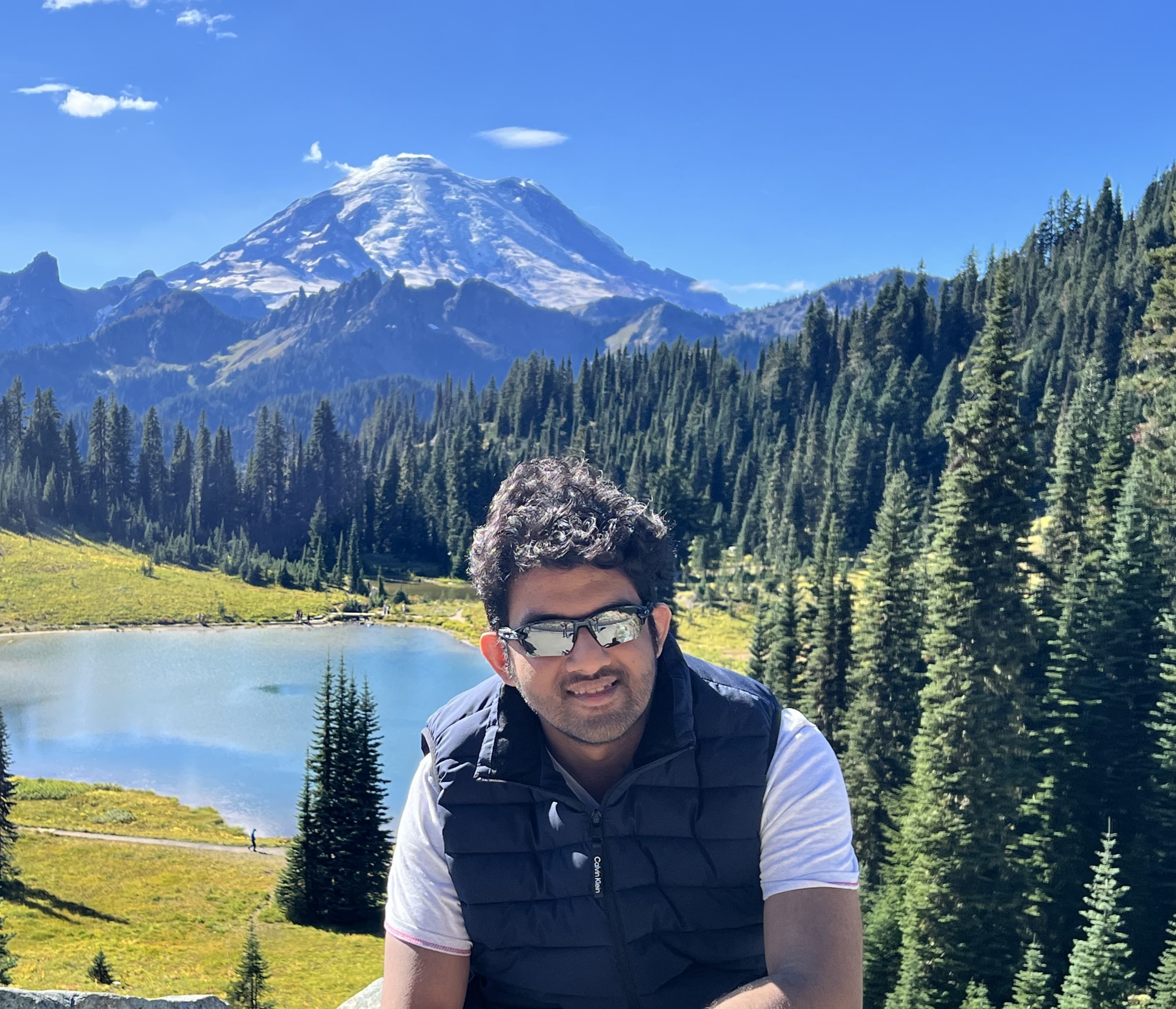 Shatadru Chattopadhyay